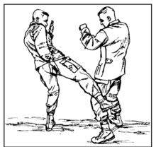 Изображение лоу кика из военного учебника по рукопашке (США)