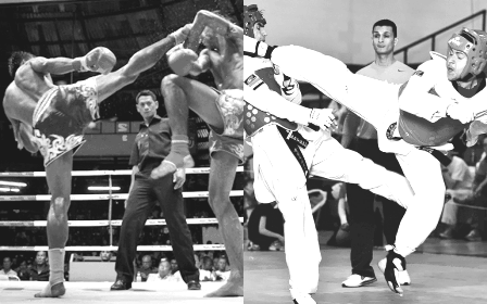 taekwondo vs muay thai